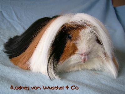 Rodney von Wuschel & Co