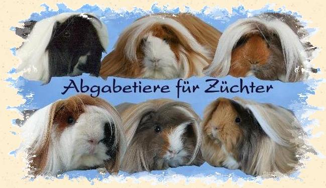 Z&uuml;chter und welche die es werden wollen: HIER LANG!